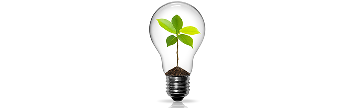 Energy Efficient Electrical Services and Audits