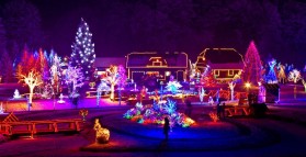 'Tis the Season.... Christmas Light Safety